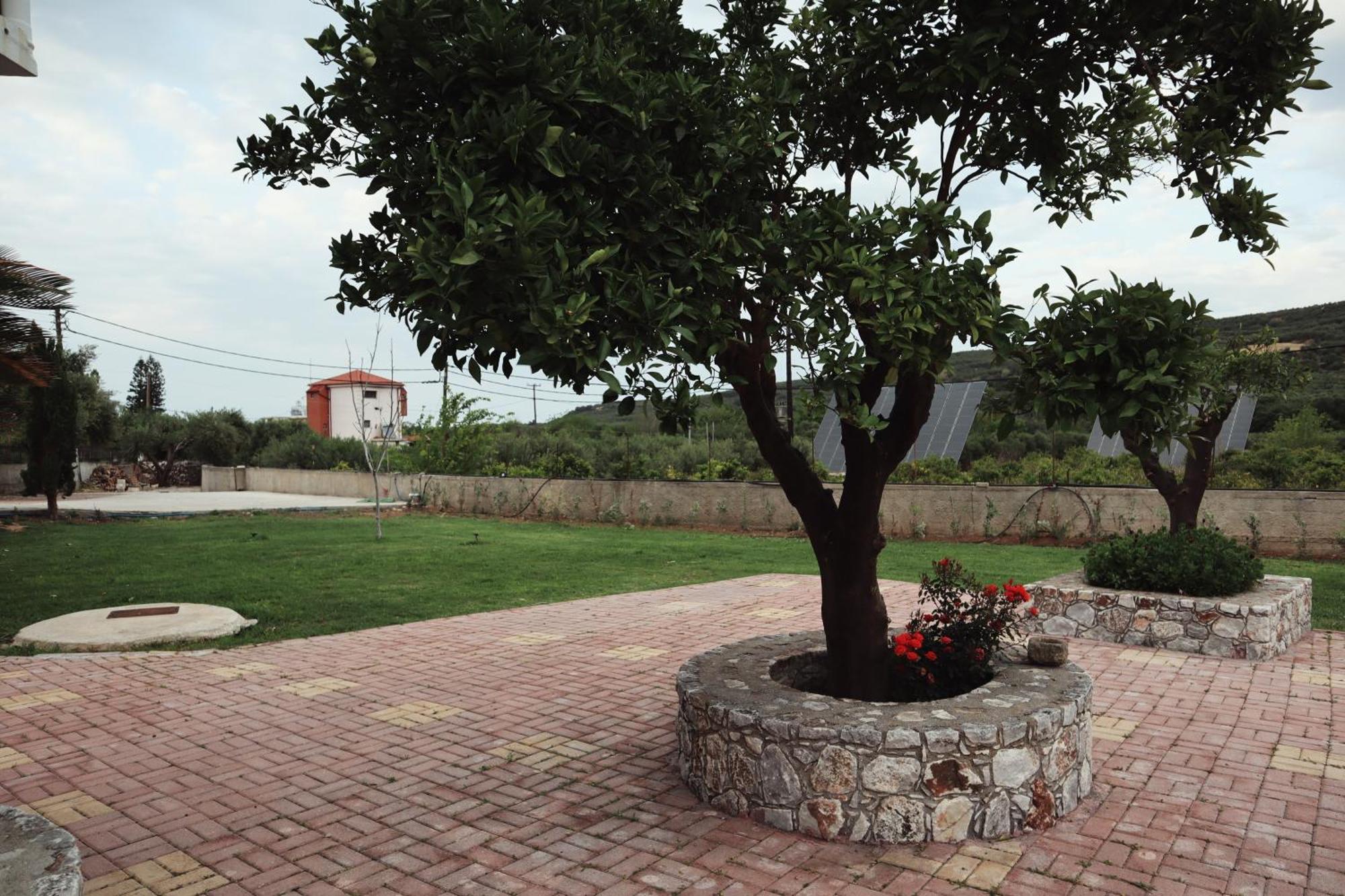 Villa Elea Apartments Spiliá Exteriér fotografie