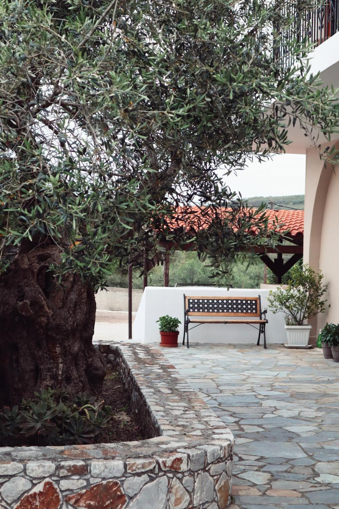 Villa Elea Apartments Spiliá Exteriér fotografie